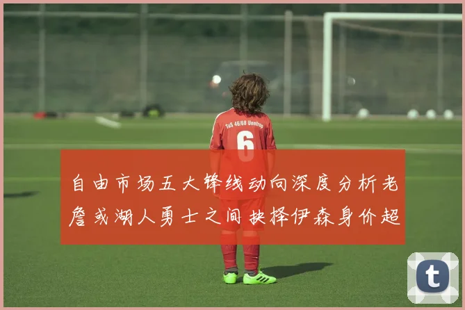 自由市场五大锋线动向深度分析老詹或湖人勇士之间抉择伊森身价超2000万