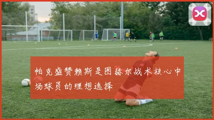 帕克盛赞赖斯是图赫尔战术核心中场球员的理想选择